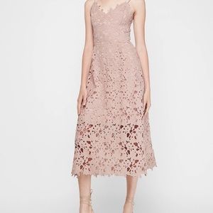 NWT Express Dress size medium